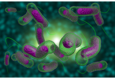 Просвітницька робота , протидія холери