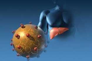 ГЕПАТИТИ — ПЕРШІ ОЗНАКИ ТА ПРОФІЛАКТИКА